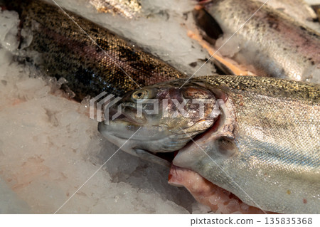 Fresh Salmon On Ice At Market Display With Thick Ice Crystals And Cold Light 135835368