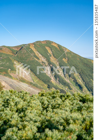 Looking up at Mt. Yukikura from the fork in the mine road. Traverse from Mt. Hakuba to Mt. Yukikura in the Northern Alps Looking up at Mt. Yukikura from the fork in the mine road. Traverse from Mt. Hakuba to Mt. Yukikura in the Northern Alps 135835487