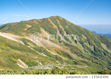Looking up at Mt. Yukikura from the fork in the mine road. Traverse from Mt. Hakuba to Mt. Yukikura in the Northern Alps Looking up at Mt. Yukikura from the fork in the mine road. Traverse from Mt. Hakuba to Mt. Yukikura in the Northern Alps 135835490