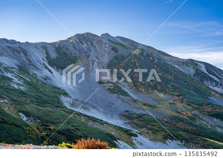 Looking up at the autumn leaves of Mt. Shirouma from the fork in the mine road. Traverse from Mt. Shirouma to Mt. Yukikura in the Northern Alps Looking up at the autumn leaves of Mt. Shirouma from the fork in the mine road. Traverse from Mt. Shirouma to Mt. Yukikura in the Northern Alps 135835492