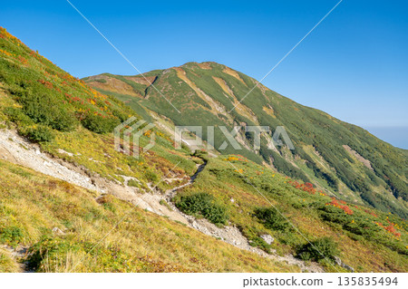 Mt. Yukikura seen from the winding path of Mt. Hachigatake. A traverse from Mt. Hakuba to Mt. Yukikura in the Northern Alps. Mt. Yukikura seen from the winding path of Mt. Hachigatake. A traverse from Mt. Hakuba to Mt. Yukikura in the Northern Alps. 135835494