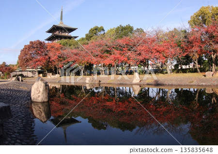 五層寶塔和秋葉倒映在水面上 五層寶塔和秋葉倒映在水面上 135835648
