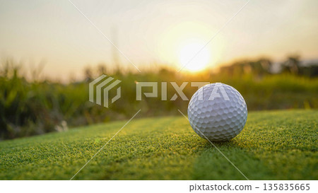 Golf ball on green grass in the evening golf course with sunshine background. 135835665