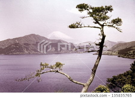 1961年的老照片：從箱根公園看到的蘆之湖和富士山 135835765