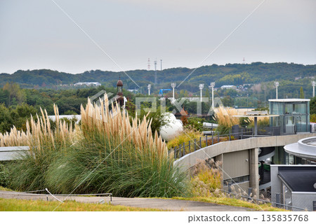 <Aichi Prefecture> Expo Memorial Park (Moricoro Park) 135835768