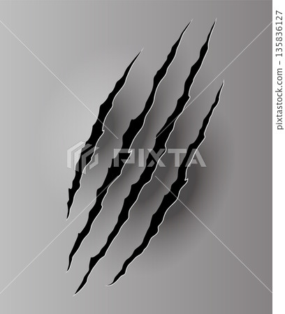 Bear or tiger claw mark. Scratches and torn traces of vector animal paw slashes. Hole in sheet of paper with torn edges. Vector illustration 135836127
