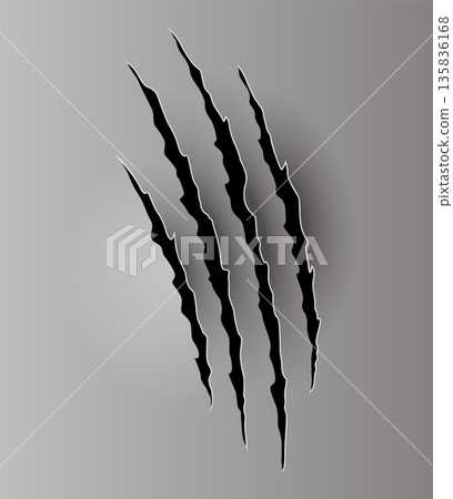 Bear or tiger claw mark. Scratches and torn traces of vector animal paw slashes. Hole in sheet of paper with torn edges. Vector illustration Bear or tiger claw mark. Scratches and torn traces of vector animal paw slashes. Hole in sheet of paper with torn edges. Vector illustration 135836168