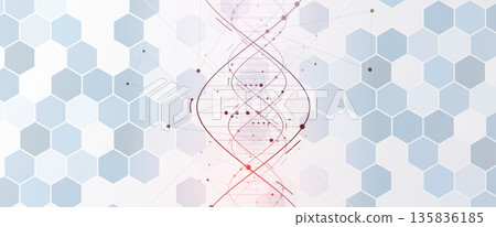 Futuristic molecule helix spiral, DNA strands, connected neural web Futuristic molecule helix spiral, DNA strands, connected neural web 135836185