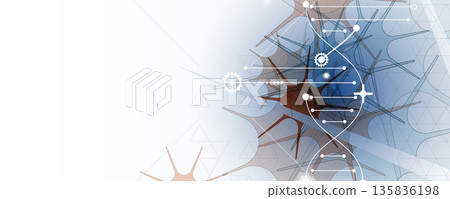 Futuristic molecule helix spiral, DNA strands, connected neural web 135836198