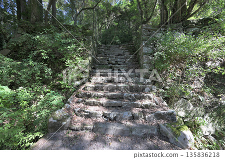 Higo "Hitoyoshi Castle" - View of the enclosure and stone walls 135836218