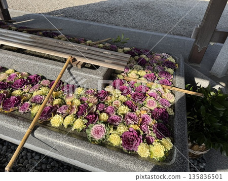 Flower water basin and chozuya *Imizu Shrine, the Ichinomiya Shrine of Etchu, New Year's visit (Photo taken in Takaoka City, Toyama Prefecture, January) Flower water basin and chozuya *Imizu Shrine, the Ichinomiya Shrine of Etchu, New Year's visit (Photo taken in Takaoka City, Toyama Prefecture, January) 135836501