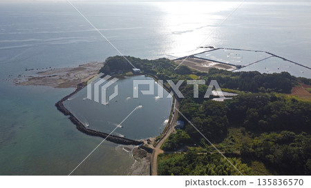 天草蝦場 135836570