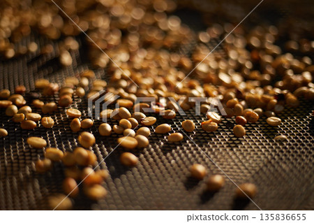 Raw coffee beans, coffee drying process on shelf natural sunlight plantation at factory 135836655