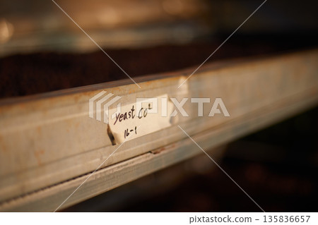Raw coffee beans, coffee drying process on shelf natural sunlight plantation at factory Raw coffee beans, coffee drying process on shelf natural sunlight plantation at factory 135836657
