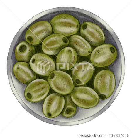 Hand drawn watercolor olive branches with green fruits, preserved olives in a plate. Olive branches, leaves and fruits. For fabric, wrapping paper, scrapbooking, packaging design, kitchen, menu 135837006