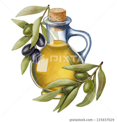 Hand drawn watercolor olive oil bottle with olives and leaves. Olive branches, leaves and fruits. For fabric, wrapping paper, scrapbooking, packaging design, kitchen, menu 135837029