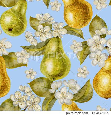 Seamless hand-drawn watercolor pattern featuring pears and delicate white flowers and leaves. Perfect for packaging, textiles, wallpaper, and fabric printing Seamless hand-drawn watercolor pattern featuring pears and delicate white flowers and leaves. Perfect for packaging, textiles, wallpaper, and fabric printing 135837064