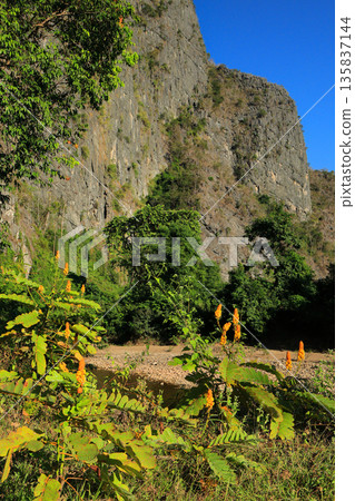 Nam Nong Cave Nam Nong Cave 135837144