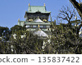 大阪城堡梅花森林 135837422