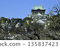 大阪城堡梅花森林 135837423