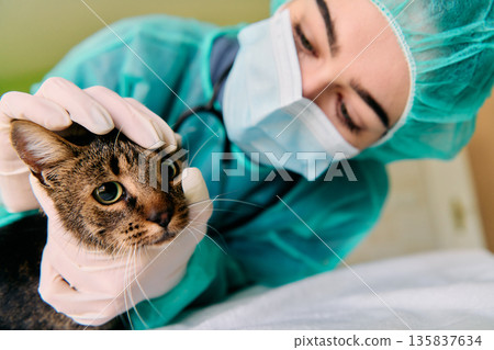 Caring Veterinarian Examines Cat During Checkup in Clinic With Green Scrubs Caring Veterinarian Examines Cat During Checkup in Clinic With Green Scrubs 135837634