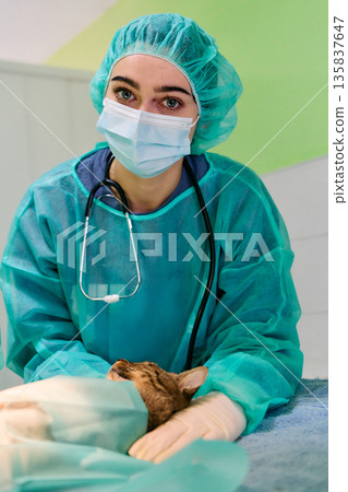 Compassionate Female Medical Professional In Scrubs Caring For Cat In Clinic With Stethoscope Compassionate Female Medical Professional In Scrubs Caring For Cat In Clinic With Stethoscope 135837647