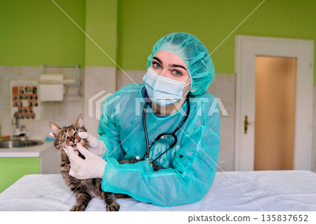 Compassionate Veterinarian in Protective Gear Examines Cat with Stethoscope in Clinic Compassionate Veterinarian in Protective Gear Examines Cat with Stethoscope in Clinic 135837652