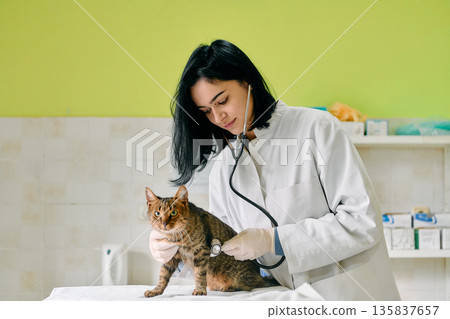Female Veterinarian Examines Cat With Stethoscope In Bright Clinic Female Veterinarian Examines Cat With Stethoscope In Bright Clinic 135837657