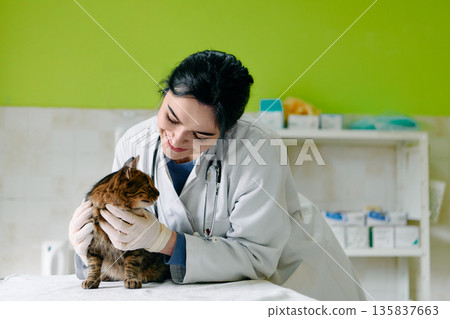 Compassionate Female Veterinarian Examines Calico Cat With Gentle Care In Bright Clinic Setting 135837663