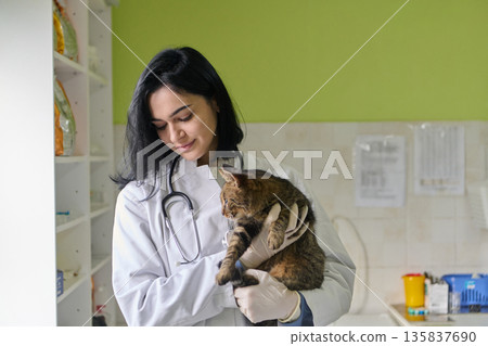 Caring Veterinarian In White Coat Holds A Cat In Clinic For Gentle Pet Care And Health Check Caring Veterinarian In White Coat Holds A Cat In Clinic For Gentle Pet Care And Health Check 135837690