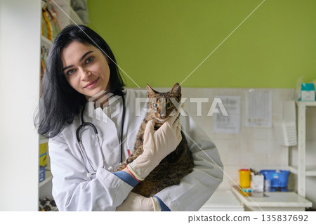 Compassionate Female Veterinarian With Stethoscope Holding Cat During Checkup In Clinic 135837692