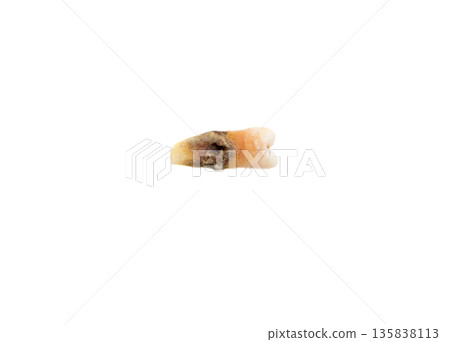 Human tooth on white background. 135838113