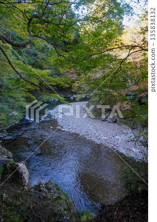 京都牧尾的清瀧河 135838132