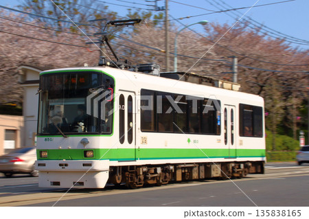 [SA] 東京櫻花電車 / 都電荒川線 8500 系列第 8501 號（普通車時代） 135838165