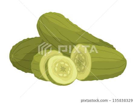 Homemade pickled cucumber. Clip-art of marinated food for packaging, label, menu, signboard or showcase. Fermented veggies, crunch gherkin with salt. Healthy vegetarian food 135838329