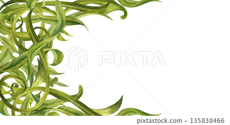Abstract floral frame of swirling green leaves on a white background. Watercolor botanical illustration template for wedding invitations, spring and summer holidays, eco-design, stationery, scrapbook 135838466