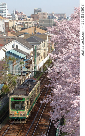 春季都電荒川線7000系列（2016年：東京都荒川區荒川2丁目） 135838608