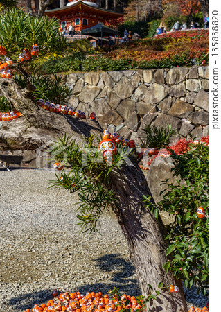 minoh park near osaka in japan minoh park near osaka in japan 135838820
