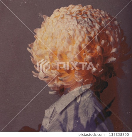 Person silhouette double exposing with chrysanthemum flower head 135838890