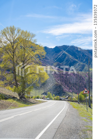 Small settlement Maly Yaloman on the bank of Katun River Altai Russia. Rural village nestled in Siberian mountain river valley. Small settlement Maly Yaloman on the bank of Katun River Altai Russia. Rural village nestled in Siberian mountain river valley. 135839372
