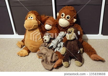 A group of stuffed monkey's are sitting on a carpet. A group of stuffed monkey's are sitting on a carpet. 135839608