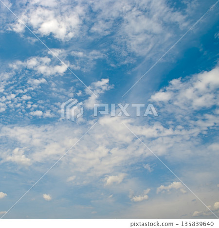 Vibrant Daytime Sky With Fluffy White Clouds and Open Copy Space Horizontal 135839640