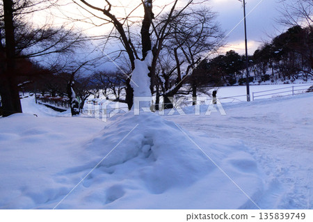 Evening view of Takamatsu Pond in Morioka City, Iwate Prefecture. Bears also appear in the area where swans migrate. Evening view of Takamatsu Pond in Morioka City, Iwate Prefecture. Bears also appear in the area where swans migrate. 135839749