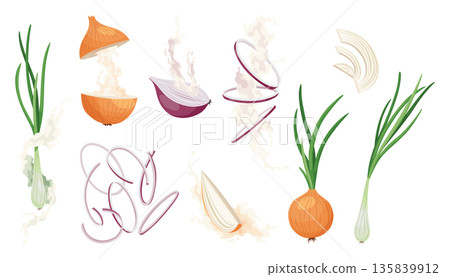 Set of Onions icons. Onion bulb in peel, half and rings. Yellow Head of onion with green sprout and pieces. Cook ingredients, spices. Organic food Set of Onions icons. Onion bulb in peel, half and rings. Yellow Head of onion with green sprout and pieces. Cook ingredients, spices. Organic food 135839912