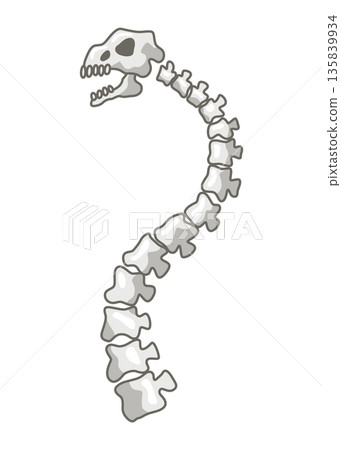 Dinosaurs skeletons parts underground. Fossils, bones of prehistoric reptiles and ammonites Dinosaurs skeletons parts underground. Fossils, bones of prehistoric reptiles and ammonites 135839934