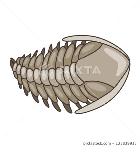 Dinosaurs skeletons parts underground. Fossils, bones of prehistoric reptiles and ammonites 135839935