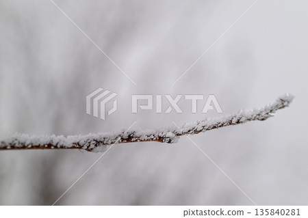 A branch covered in snow A branch covered in snow 135840281
