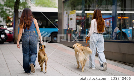 Women walking dogs on urban street sidewalk Women walking dogs on urban street sidewalk 135840406