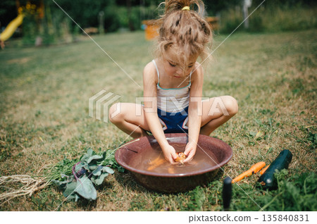Little girl washing freshly harvested vegetables from garden. Little girl washing freshly harvested vegetables from garden. 135840831