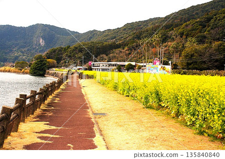 Lake Ikeda Promenade 135840840